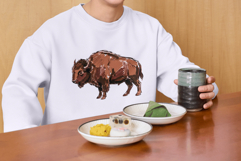 Native American PNG Clipart Product Image 6