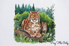 Woodland Animals Clipart Bundle PNG Product Image 13