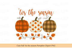 Cozy Cute Fall Floral Pumpkin PNG Product Image 1