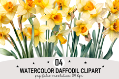Watercolor Daffodil Clipart png Whimsical Daffodil png Product Image 1