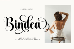 Barbie Hailey Font Family with 45 Styles Product Image 3