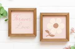 Amour Glance - Elegant Handwritten Script Font Product Image 12
