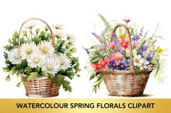 Watercolour Spring Florals Clipart Product Image 1