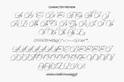 Risemotion Signature Product Image 12