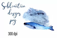 Little Whale Watercolor Sublimation Png Product Image 1
