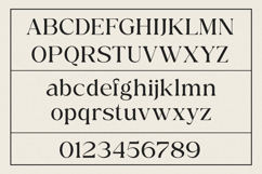 Ethereal Glamor - Modern Elegant Serif Product Image 11