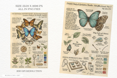 Butterflies Junk Journal Pages Product Image 2