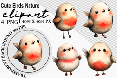 Whimsical Cute birds nature clipart Watercolor png Product Image 1