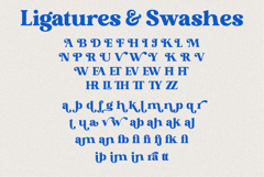 Chill Club Product Image 13