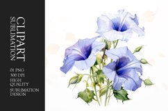 Watercolor glory flower sublimation clipart Product Image 1