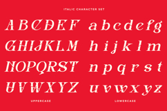 Inword - UNique Display Serif Font Product Image 12