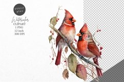 Christmas clipart, Cardinal clipart, Winter clipart Product Image 1