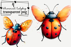 Whimsical Ladybug Clipart Watercolor PNG Product Image 1
