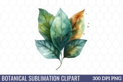 Botanical Sublimation Clipart Product Image 1