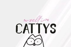 August &amp; LENGKING Script &amp; Display 6 Font Product Image 11