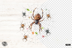 Spider Webs Clipart Product Image 1