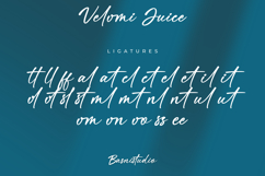Velomi Juice Elegant Handwritten Font Product Image 12