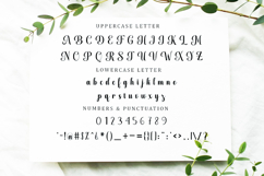 Monday - Family Font Duo In 50 Type Product Image 13