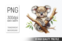 Cute koala Clipart PNG, Printable Animals, Wildlife Design Product Image 1