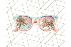 Coral and Aqua Summer Clipart PNG Pastel Tropical Icons Product Image 4