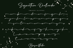 Signatura Onellander a Handwritten Font Product Image 11