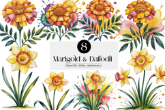 Marigold &amp; Daffodil Cliparts pngs Product Image 1