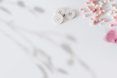 Plant Shadow Backdrops Video Bundle Product Image 12