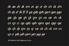 Vexane Editoral Logo fonts Product Image 12