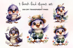 Beach Bird Clipart PNG Product Image 1