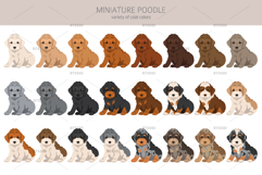 Miniature poodle clipart Product Image 3
