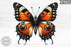 Halloween Butterfly Clipart - Halloween Sublimation PNG Product Image 1