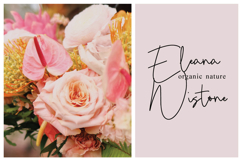 Bistye Signature Product Image 12