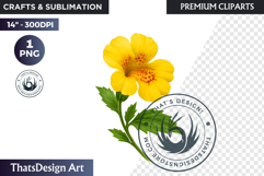 Flower Clipart PNG, Botanical Illustration Floral graphic Product Image 1