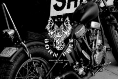 Badfest Vol.4 100 Logo Templates Product Image 12