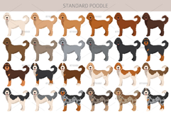 Standard poodle clipart Product Image 3