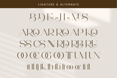 Saroe Product Image 12