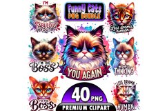Funny Cat Sarcastic Quotes Sublimation Bundle | 40 Cat png Product Image 1