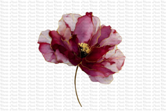 12 Burgundy Red and Gold Flowers PNG Product Image 7