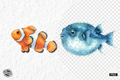 Watercolor Sea Life PNG Clipart Product Image 1