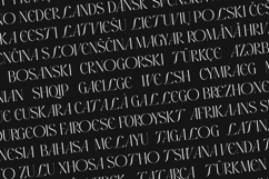 Airox Luxury Editorial Serif Font Product Image 11