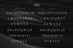 Perfect Strangers I Elegant Serif Product Image 7