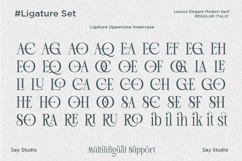 Layoce - Luxury Ligature Serif Font Product Image 12