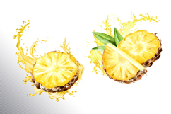 Tropical Pineapple Product Image 13