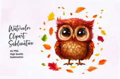 Cute baby owl with autumn leaves watercolor clipart Product Image 1