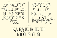 Xaviera - Luxury Serif Font Product Image 12