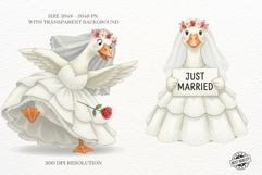 Bride Goose Clipart Product Image 6