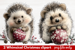 2 Whimsical Christmas Clipart | Cute Holiday PNG Set Product Image 1