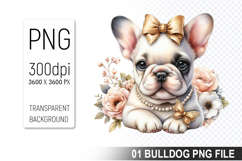 Watercolor Cute Bulldog Clipart PNG Bundle, Bulldog Art Product Image 12