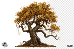 Autumn Trees Clipart Product Image 1