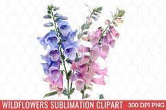 Wildflowers Sublimation Clipart Bundle Product Image 13
